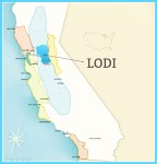 lodi-california-ava-map