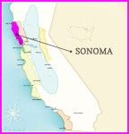 sonoma-map-ava-wine-map