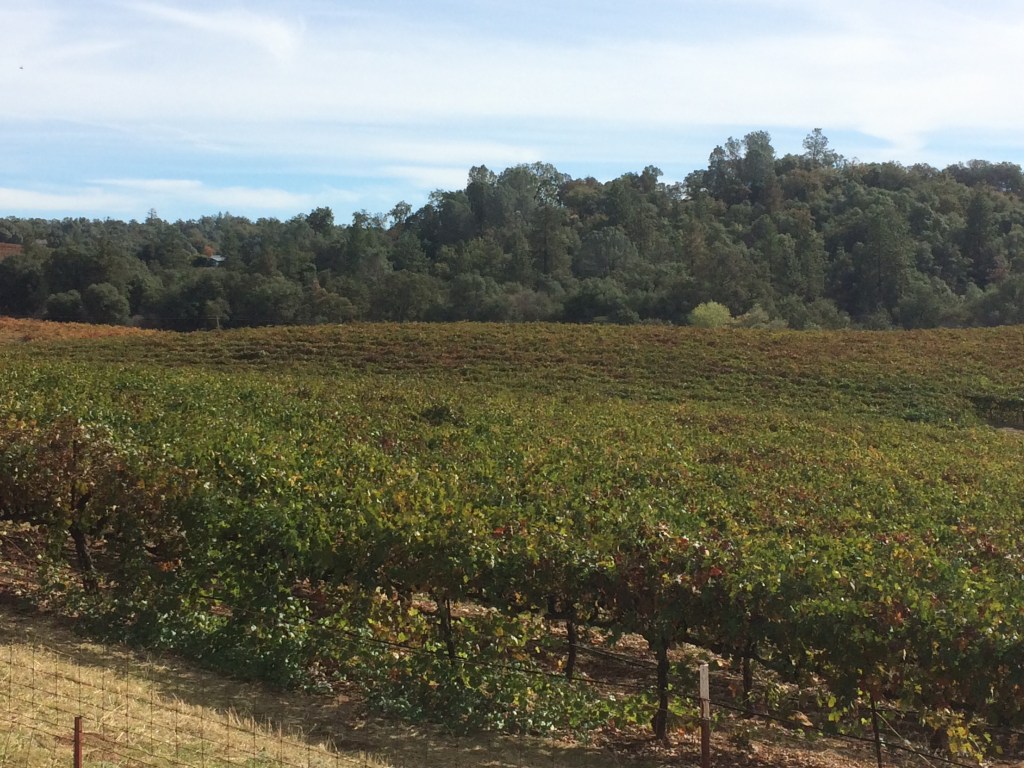 rolling-hills-of-shenandoah-valley