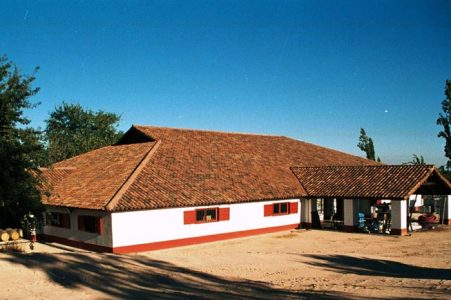 bodega-new-2-451x300